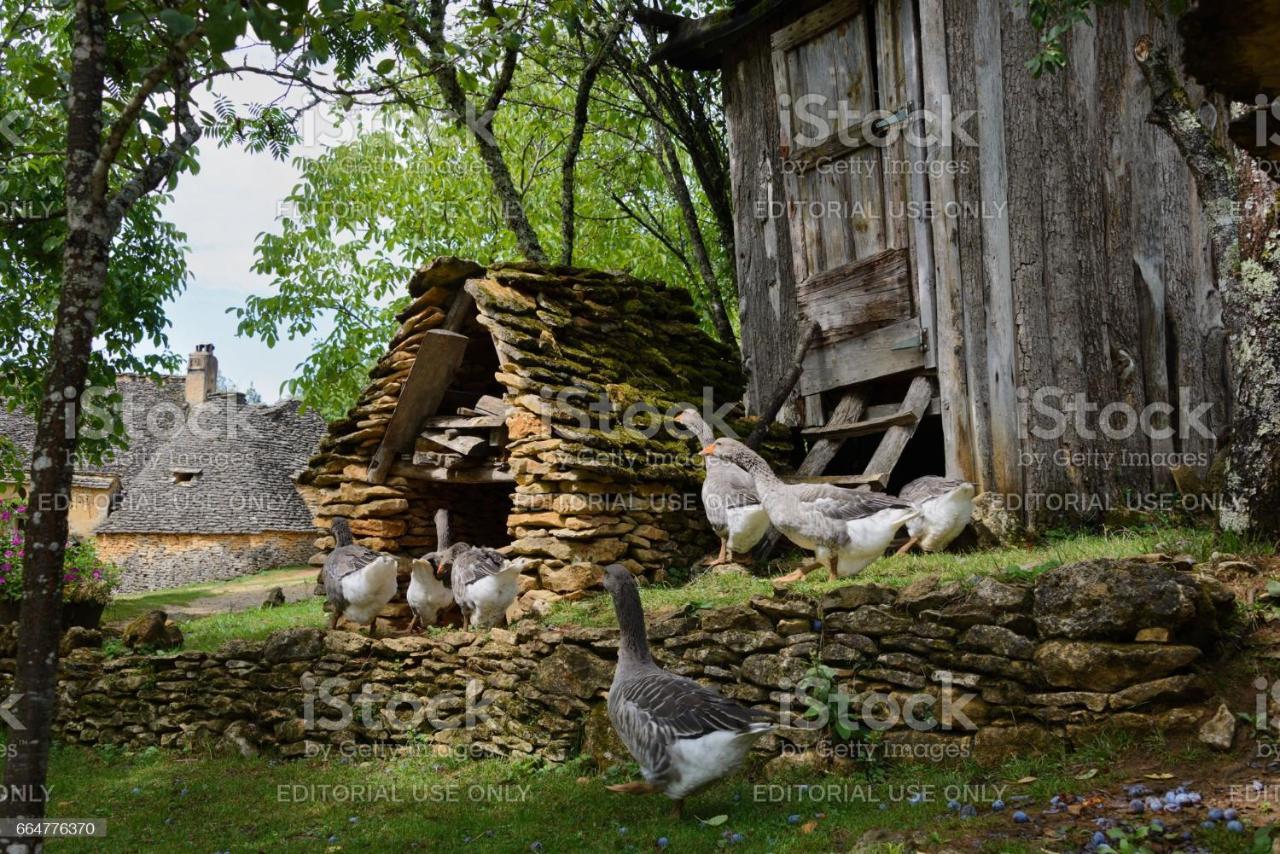 Studio2 Fontaine De L'Amour ซาร์ลา-ลา-กาเนดา ภายนอก รูปภาพ
